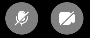 microphone_and_camera_icons.png